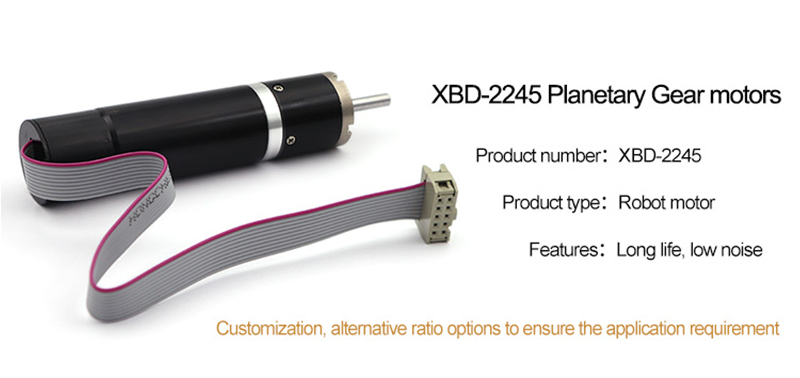 XBD-2245 Кодер-01 менен щеткалуу редуктор (2)