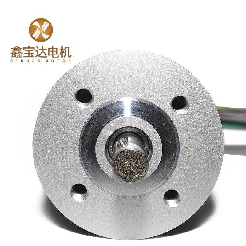 XBD-50100 Coreless Brushless DC Motor-01 (5)
