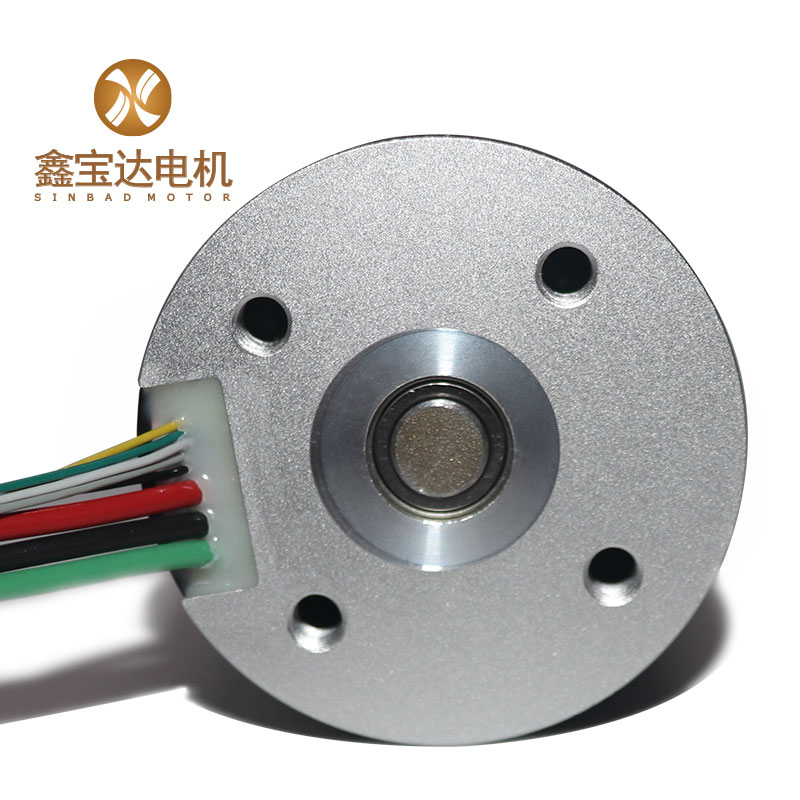 XBD-50100 Coreless Brushless DC Motor-01 (6)